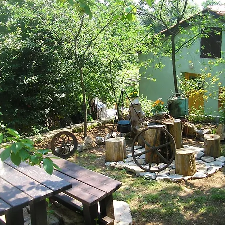 Mit Terrasse Ferienhaus *