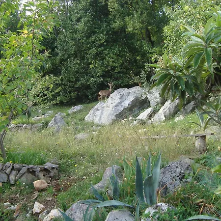 Mit Terrasse Ferienhaus Opatija