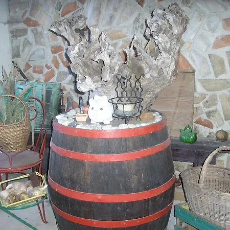Mit Terrasse *